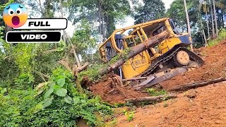 The Experienced CAT Dozer Operator Skills Pushing Bushes For Widening Plantation Full Video