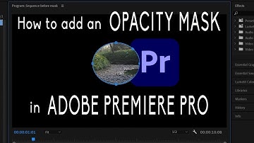 How to Add an Opacity Mask in Adobe Premiere Pro