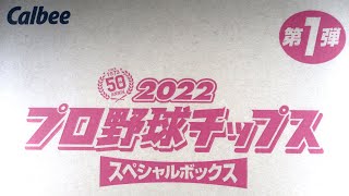 Calbee 2022 プロ野球チップス 第1弾 スペシャルボックス 1BOX 開封動画＜国内スポーツカード開封動画／NPBプロ野球＞