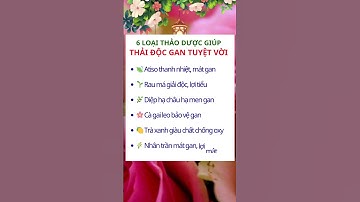 6 loại thảo dược giúp thải độc gan tuyệt vời, sống khỏe.