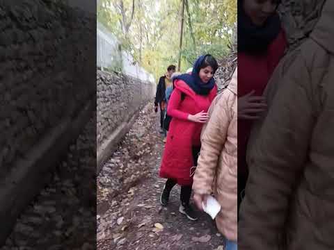 ولاگ پاییزی کوچه باغ خوانسار آرامش باران پاییز تور