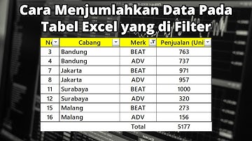 Cara Menjumlahkan Tabel Data Excel yang di Filter | Tips Excel Cepat dan Efektif