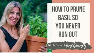 How to Prune Basil So You Never Run Out