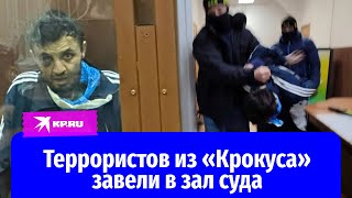 Террористов из «Крокуса» завели в зал Басманного суда - 4 