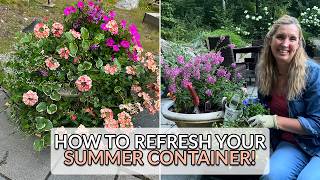 Don't Throw Out Your Container Plants - Refresh Them Instead & This is How!