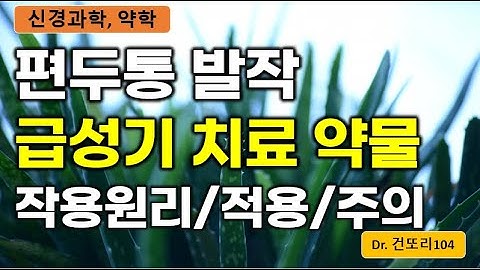 편두통 발작 시 급성기 치료: 약물 작용기전, 적용(ergot, triptan, CGRP antagonist 등)