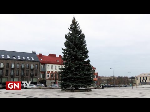 Panevėžio miestas sulaukė Kalėdų eglės.