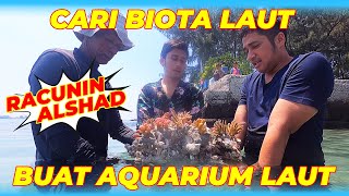 BIOTA LAUT INI ANEH BANGET..!! ALSHAD SAMPE KETAKUTAN