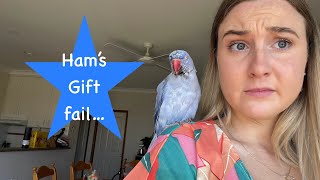 Ham's Gift Fail