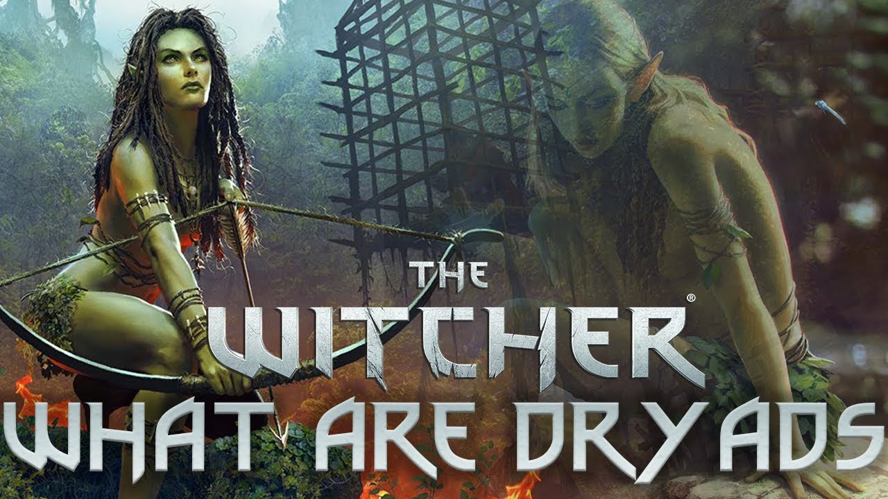 Dryad witcher