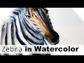 How to paint ZEBRA stripes in Watercolor