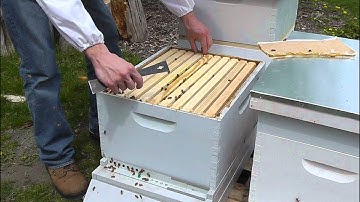 First Inspection of a New Hive