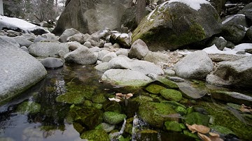 Mindfulness Series: Watching Your Thoughts