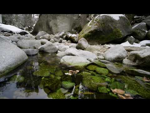 Mindfulness Series: Watching