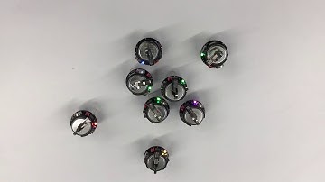 Do Robot Swarms Work Like Brains?