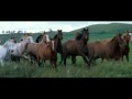 The rhythm of the horse