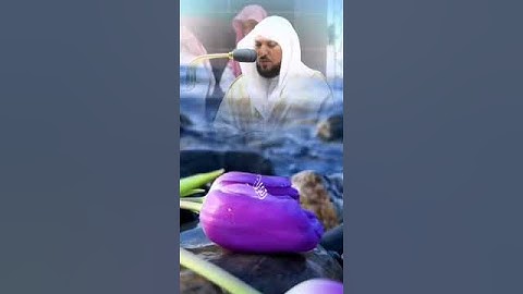 الشيخ ماهر المعيقلي تلاوه نادره ورائعه جدا سوره الزلزله