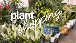 Big Box Plant Shopping || Spring 2026