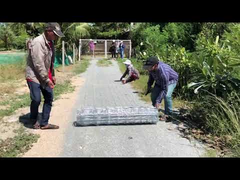 วีดีโอ: ซุ้มตาข่ายสำหรับรั้วในประเทศ (45 รูป): สร้างตาข่ายสีเขียวและแรเงาเป็นม้วน จะแก้ไขเป็น Chain-link และทำรั้วจากตาข่ายได้อย่างไร?