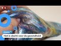 Gevaarlijk speelgoedslijm van Zeeman uit de winkel gehaald