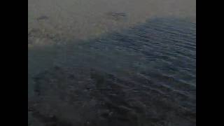 Hatıra.. Ben Unutmadm Sizde Unutmayın Beni.