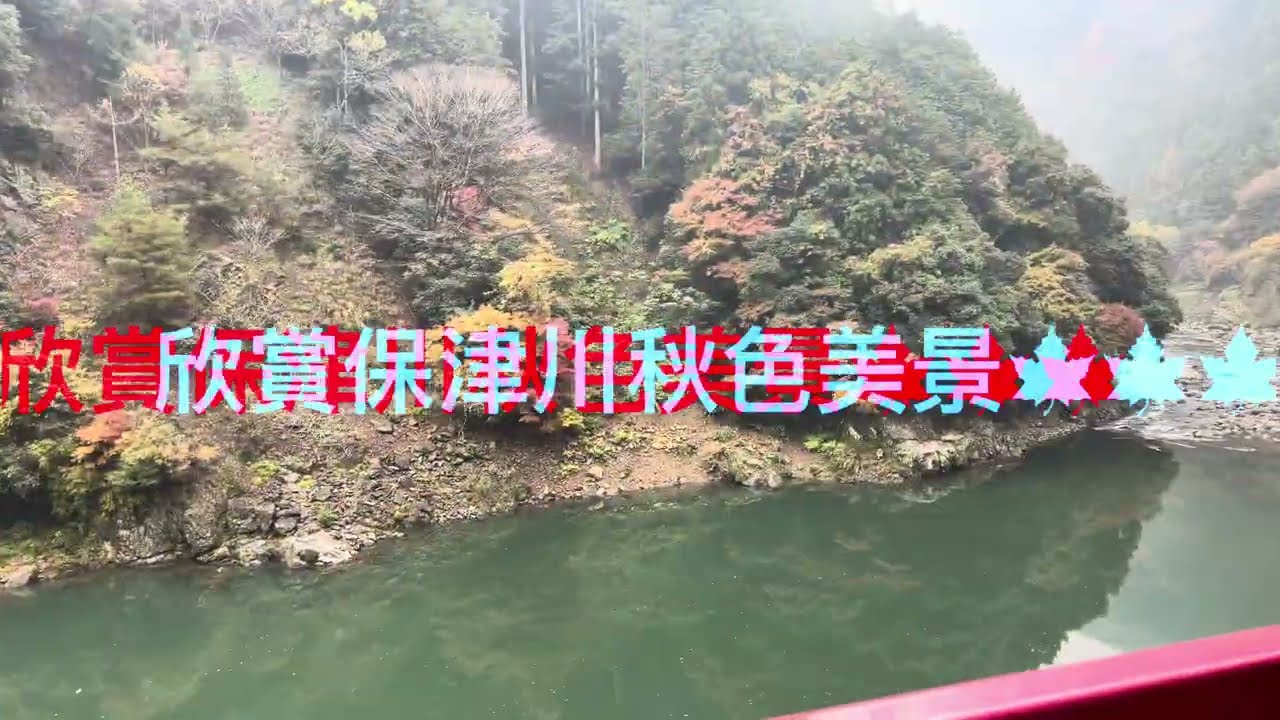 京都嵐山瑳珴小火車看秋色