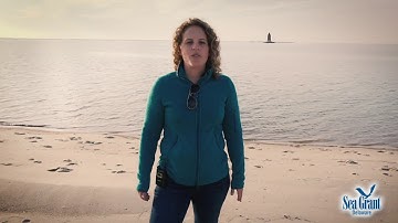 15 sec science scombroid poisoning