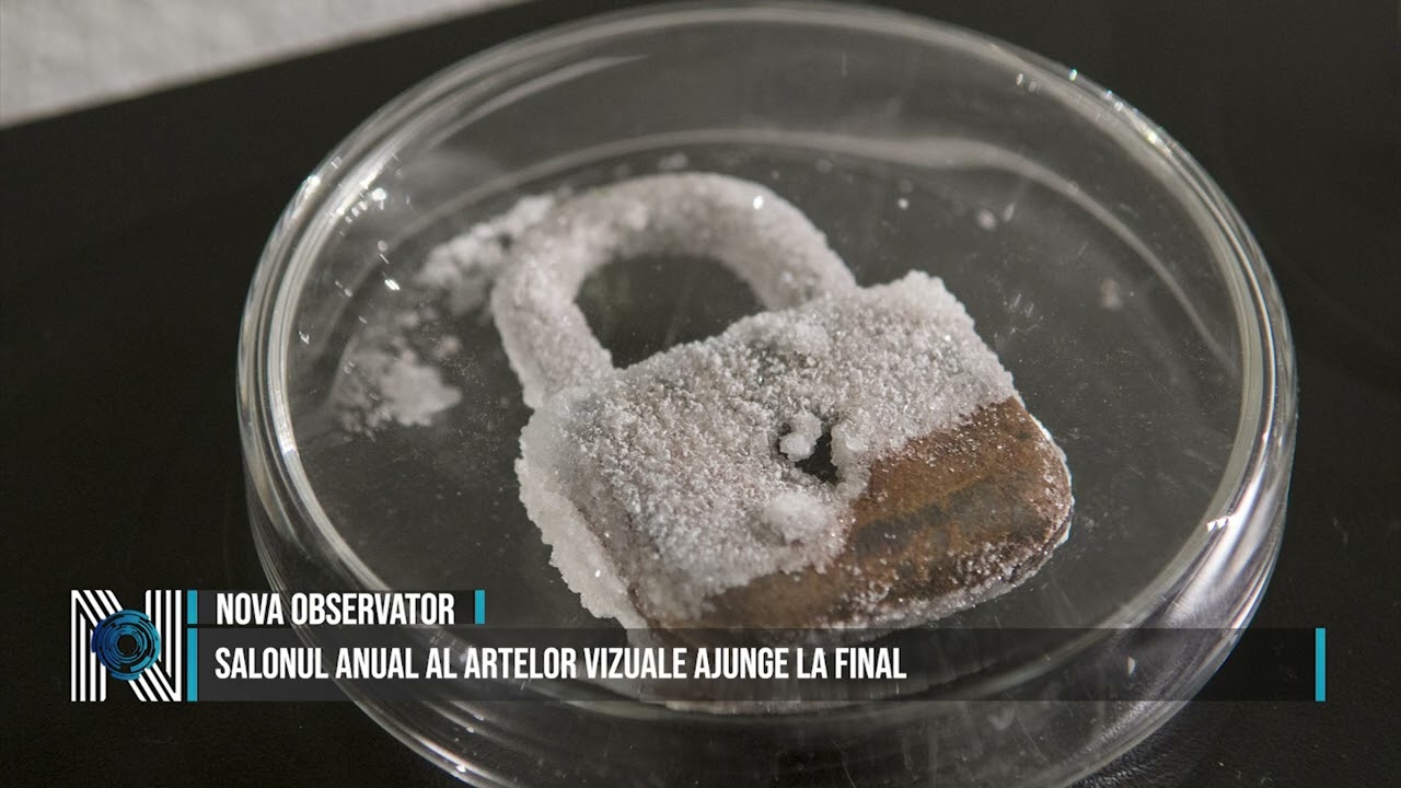 Salonul Anual al Artelor Vizuale ajunge la final Salonul Anual al Artelor Vizuale ajunge la final