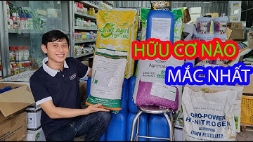 Hữu cơ nào mắc nhất? cách chọn hữu cơ để bón cho sầu riêng đạt hiệu quả.
