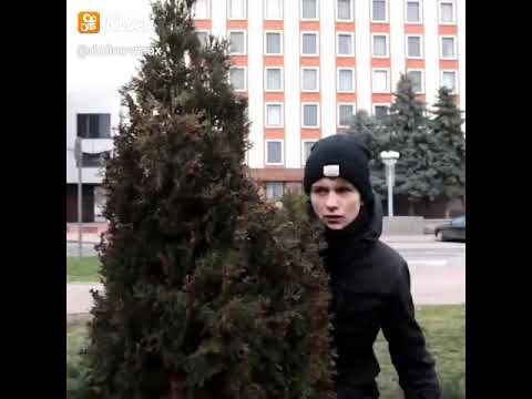 под сотку музыка.