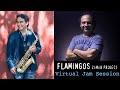 David domnguez  flamingos  a virtual jam session with juan ramos