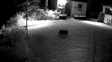 test video from reolink 510WA and external IR light