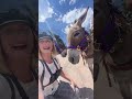 Come with us to run with the donkeys! #cripplecreek #donkey