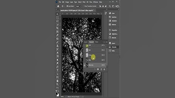 Photoshop Tutorials : remove tree Background #shorts