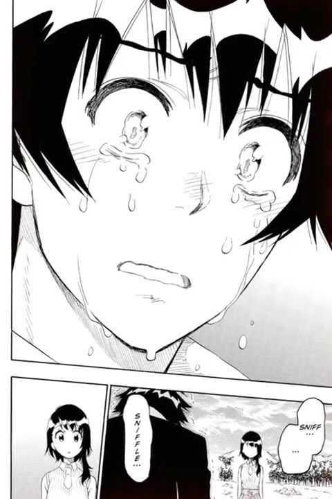 NISEKOI #nosekoi #anime #2d