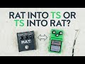 Tube Screamer into Rat or Rat into Tube Screamer?