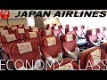 Japan Airlines ECONOMY CLASS Tokyo to London|Boeing 777-300ER