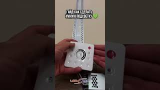 Умный свет своими руками: проще, чем кажется! 💡