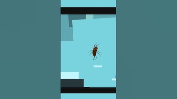 Indie GameDev Animation Test #shorts #indiegame #gamedev #gamers #indiegamedev