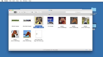 How to Set Up the Working Folder - Bootstrap 4