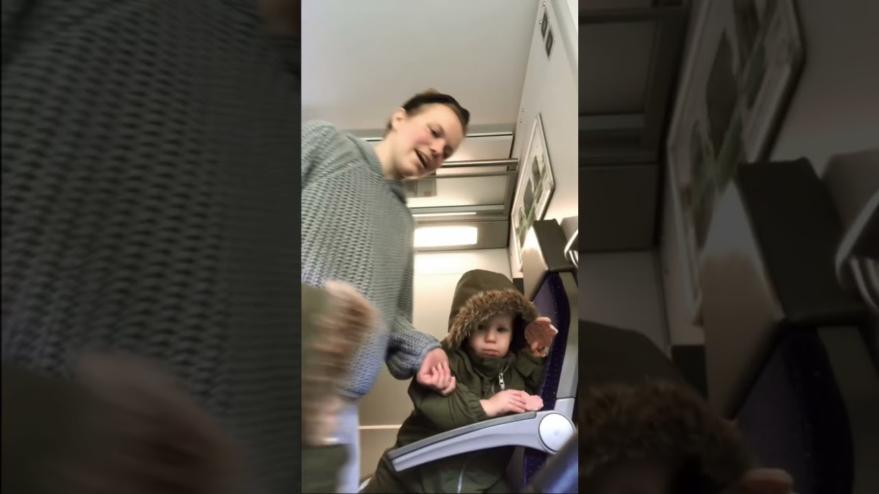 DITL-taking my one year old twins grocery shopping in 🇩🇪 pt. 2 