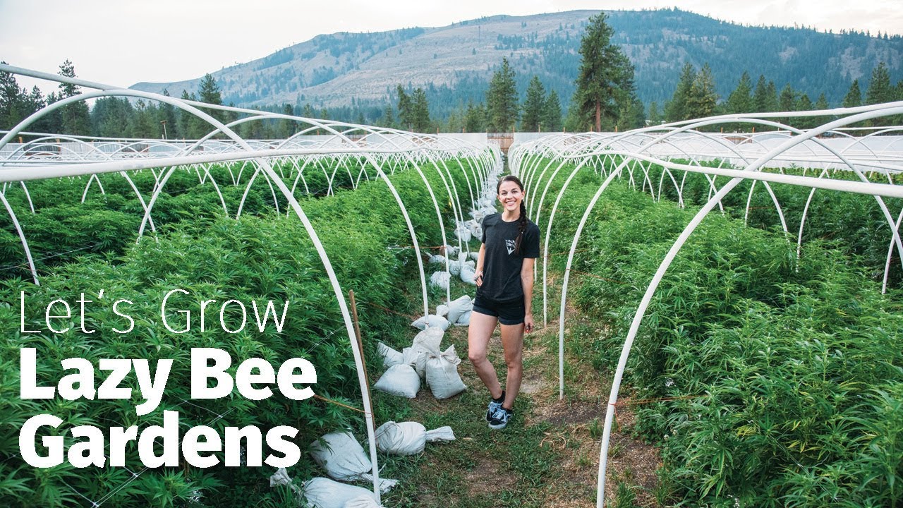 Lazy Bee Gardens Grow Tour