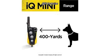Dogtra IQ Mini 2-Dogs Remote Trainer Review: Is It Worth the Investment for Small Dogs?