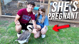 SHE'S FINALLY PREGNANT !!!