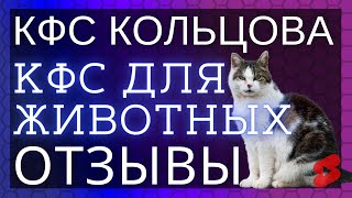 🔥Старый кот и КФС ▫️ Отзывы о КФС Кольцова ▫️ КФС для животных