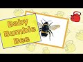 Baby Bumble Bee Baby Bumble Bee