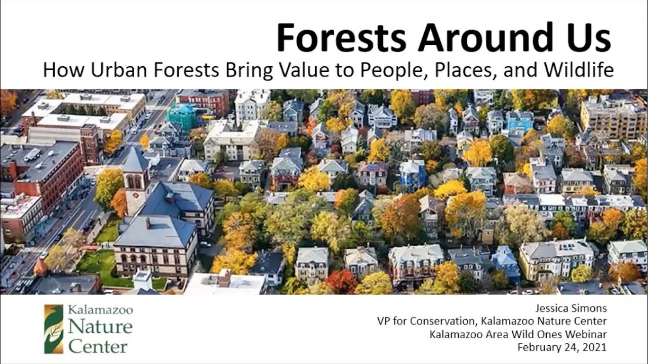 Forests Around Us: How Urban Forest Bring Value to People, Places, and Wildlife - Jessica Simons