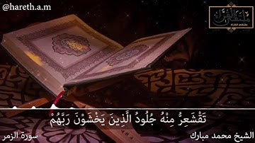 ما تيسر من سورة الزمر للشيخ محمد مبارك