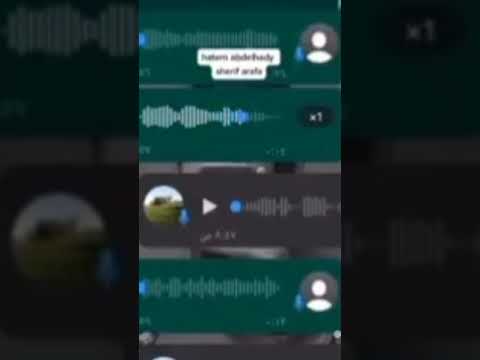 شريف ابو الكلب محادثة واتس أب بقي الفيديو في اول تعليق مثبت صريخ ضحك MostafaZaharn