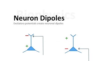 Episode 1: An Introduction to EEG